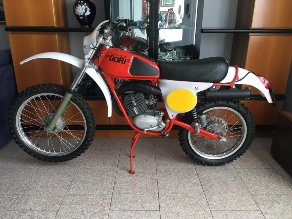 Gori Regolarità RGC 