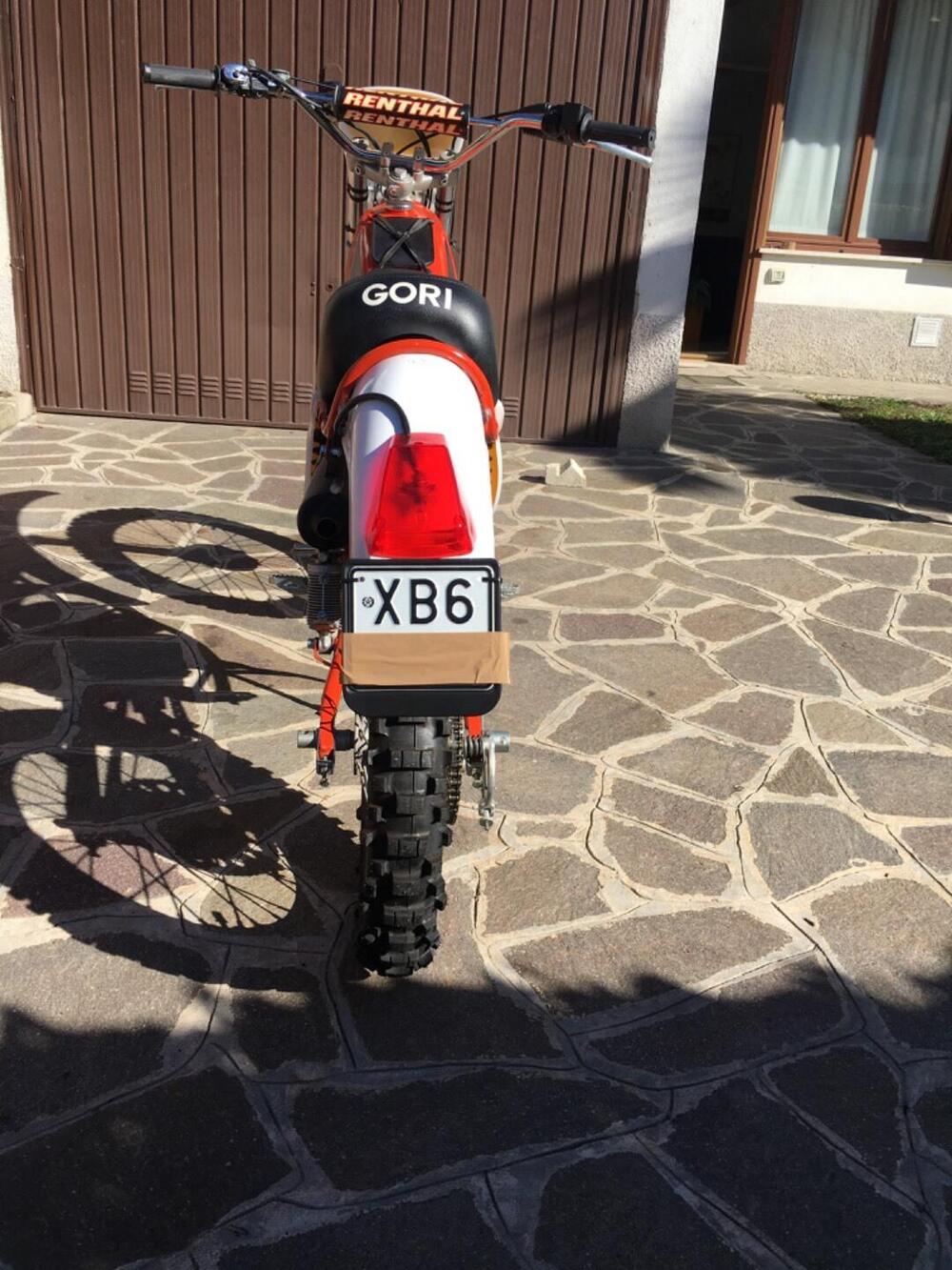 Gori Regolarità RGC  (3)