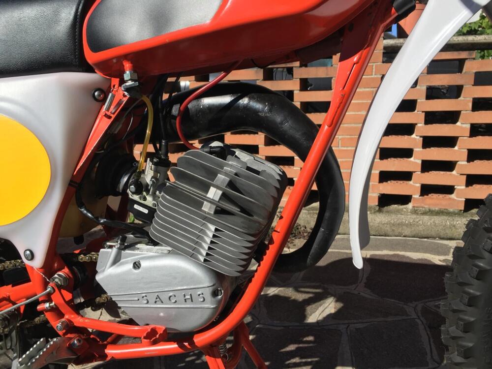 Gori Regolarità RGC  (4)