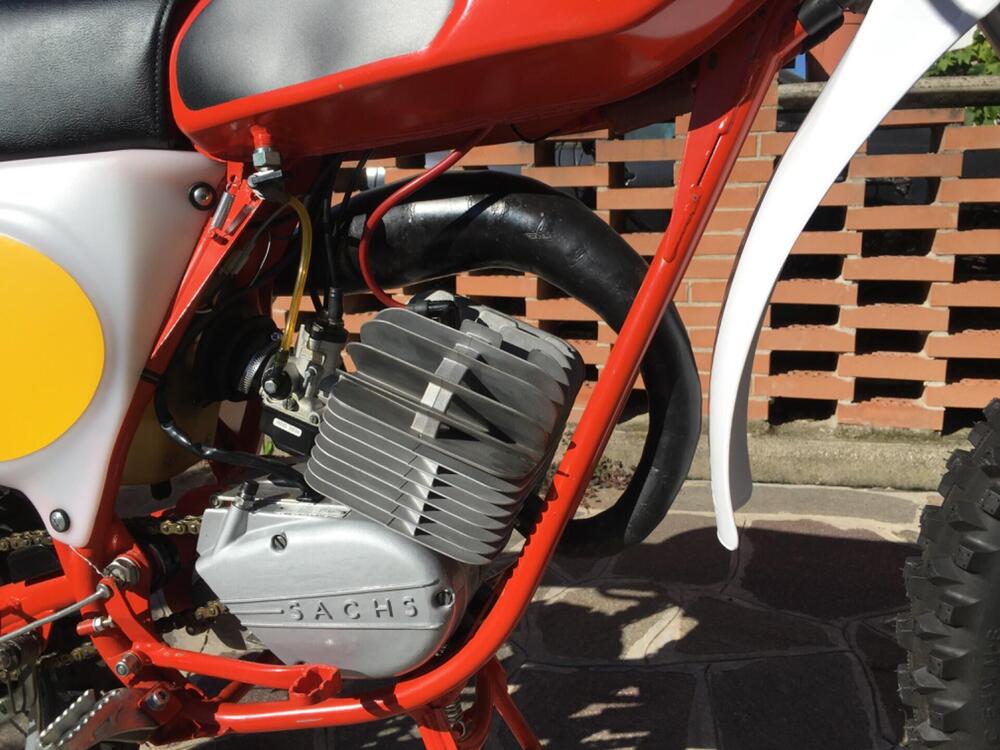 Gori Regolarità RGC  (6)