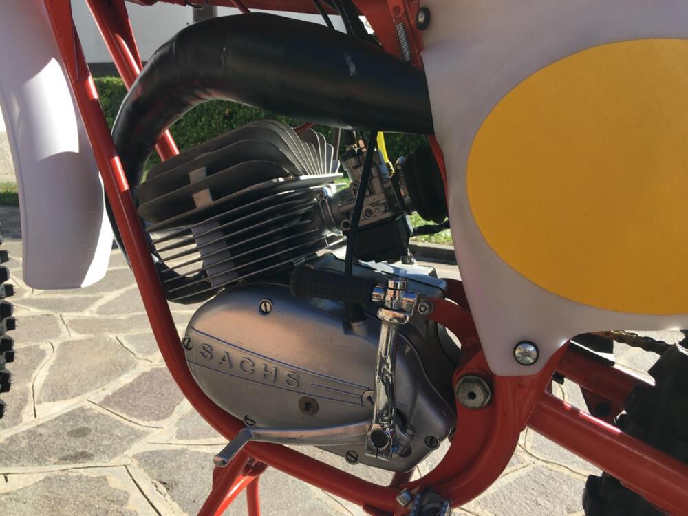 Gori Regolarità RGC  (7)