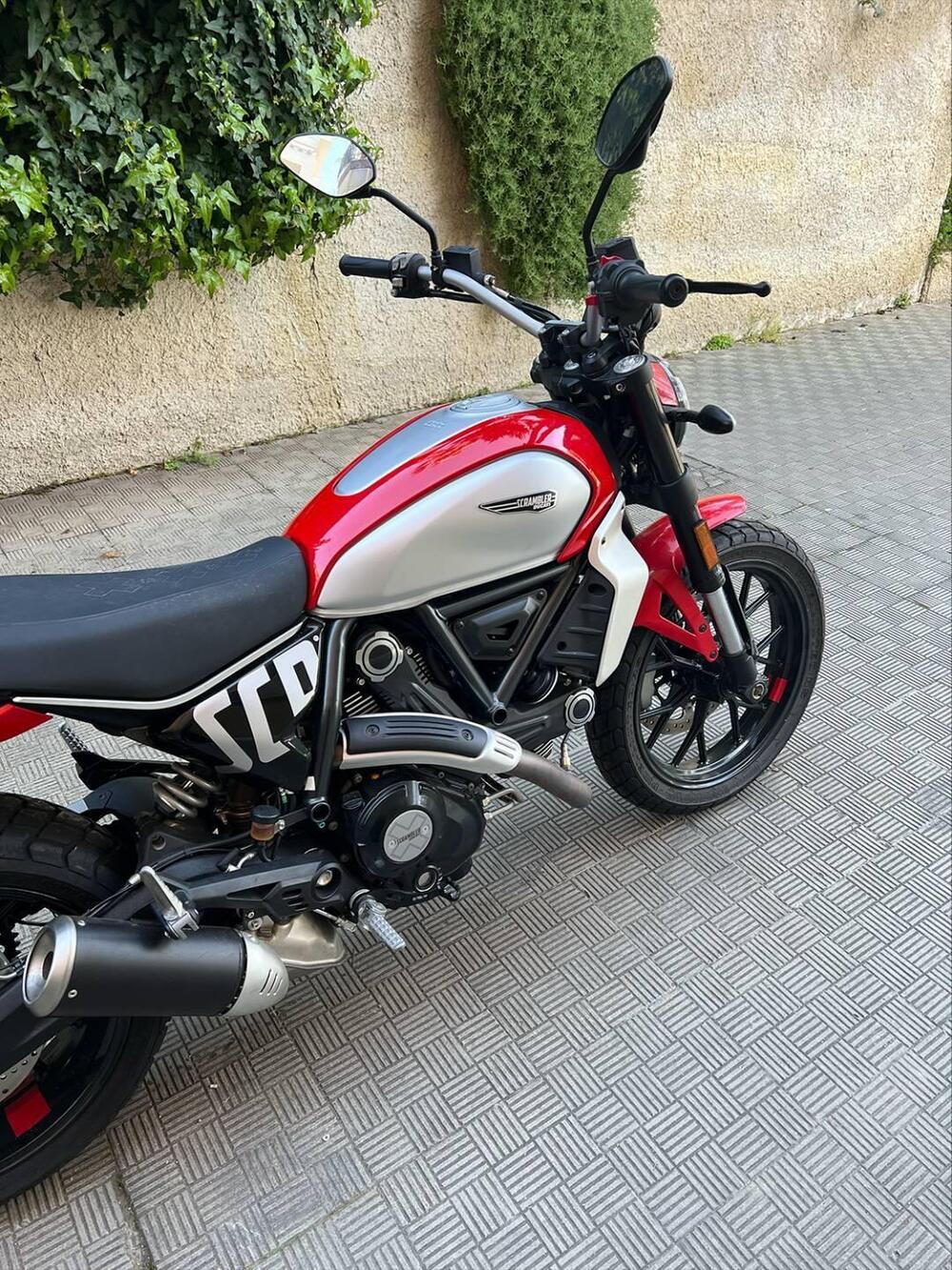 Ducati Scrambler 800 Icon (2023 - 24) (5)