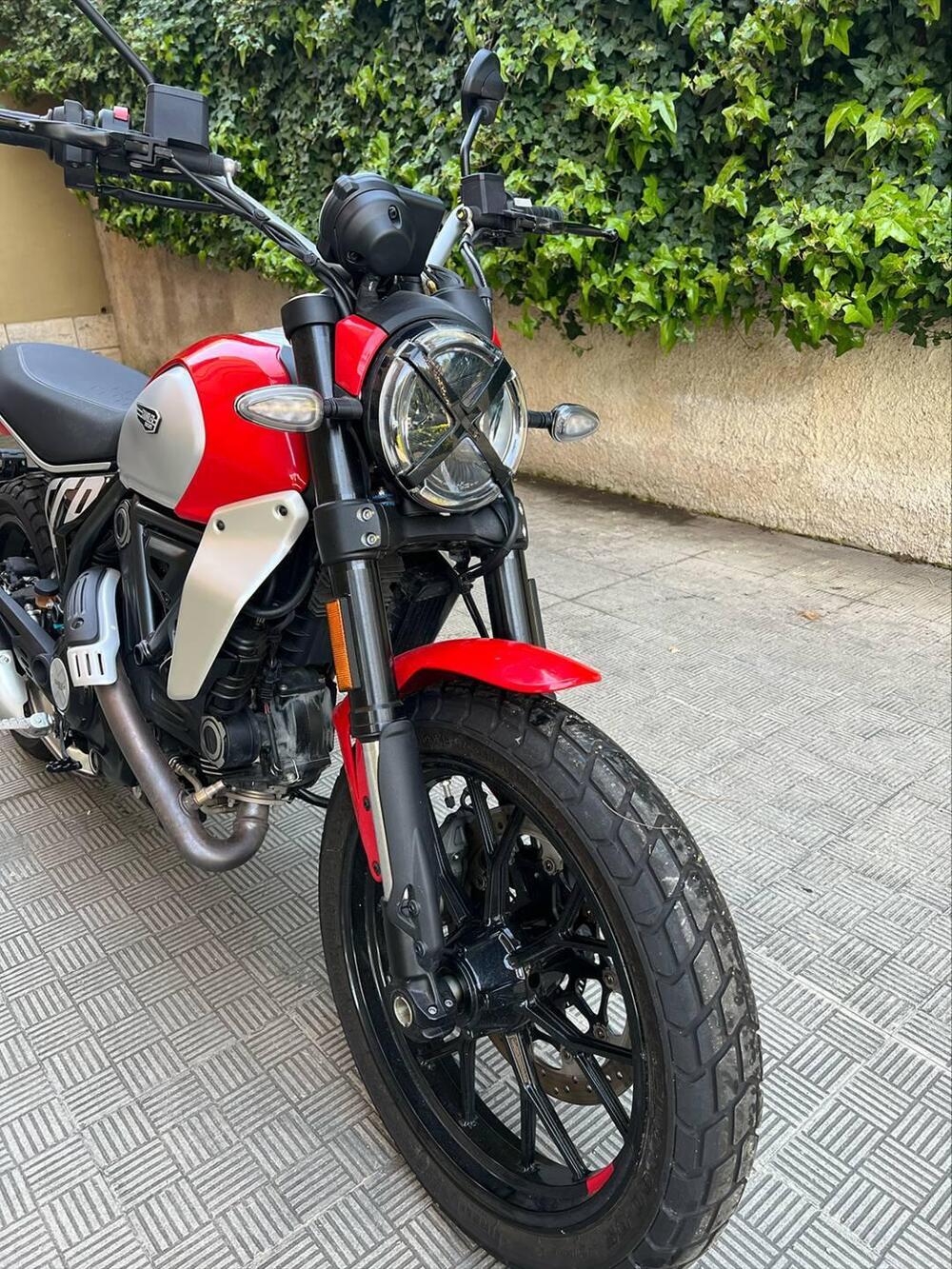 Ducati Scrambler 800 Icon (2023 - 24) (7)