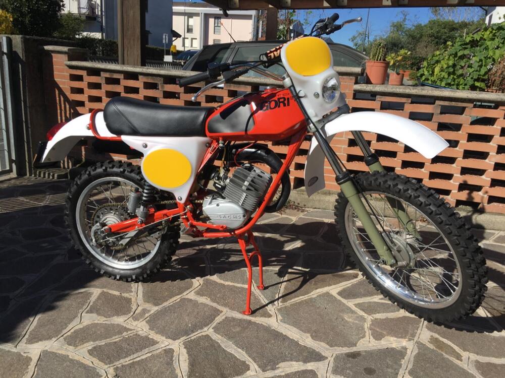 Gori Regolarità RGC  (8)