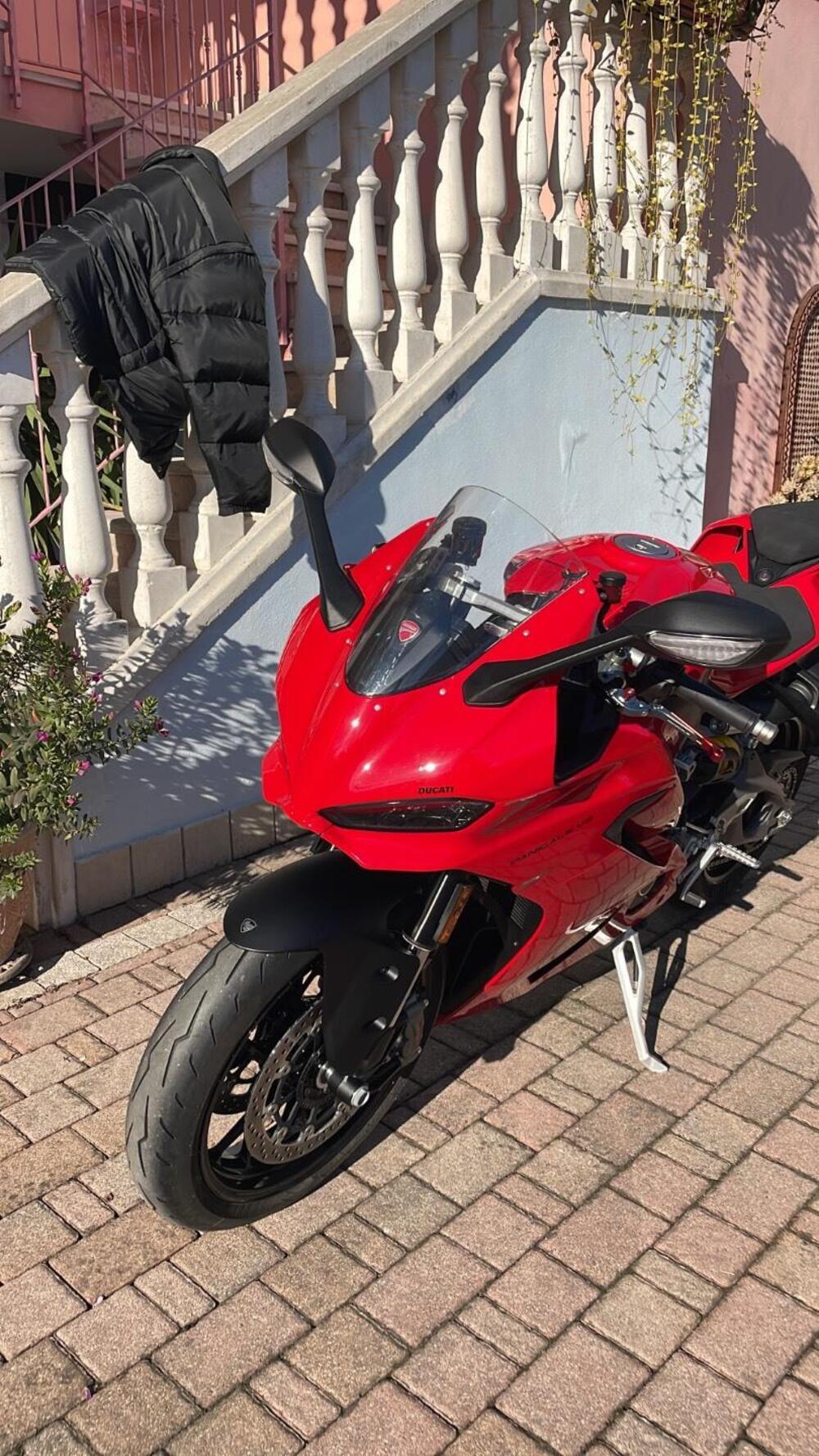 Ducati Panigale V2 (2025 - 26) (3)