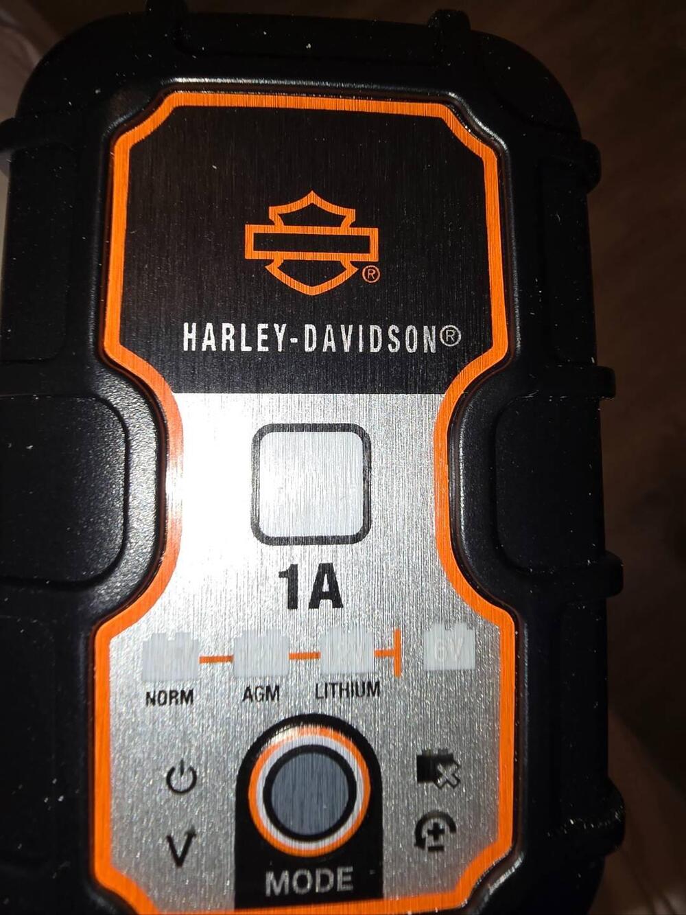 Harley-Davidson Low Rider ST (2025 - 26) (8)