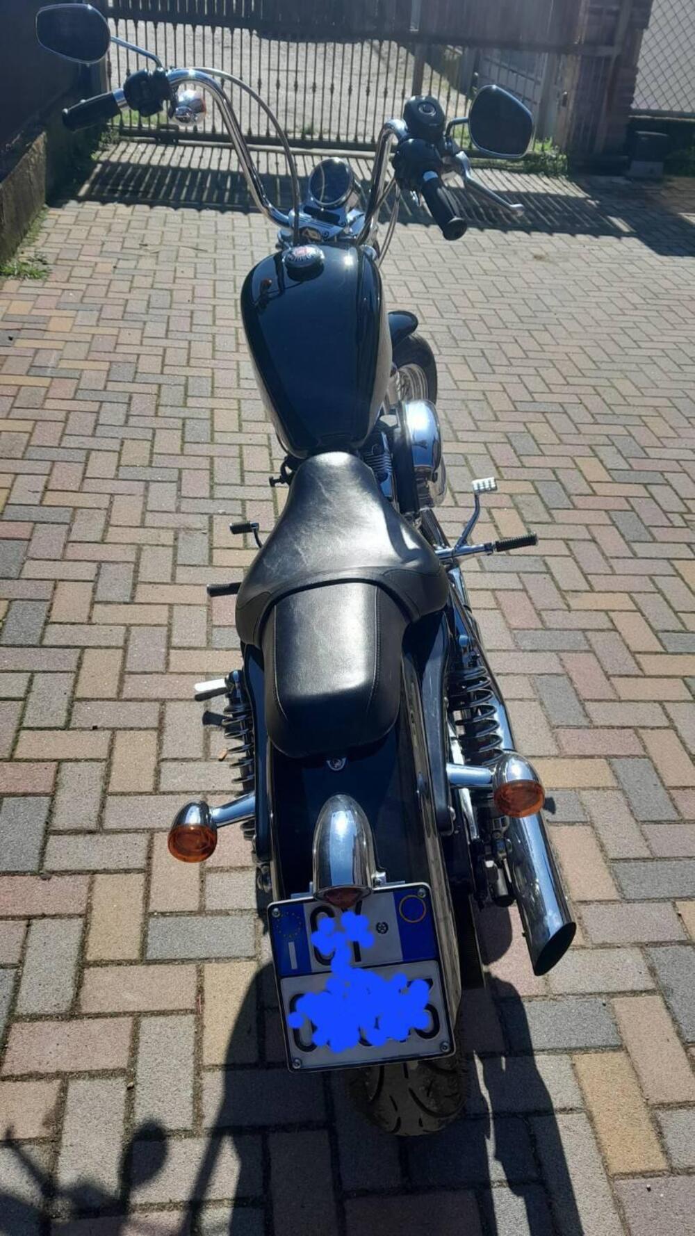 Harley-Davidson 1200 Custom (2004 - 06) - XL 1200C (2)