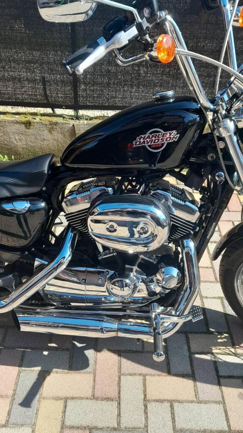 Harley-Davidson 1200 Custom (2004 - 06) - XL 1200C (3)