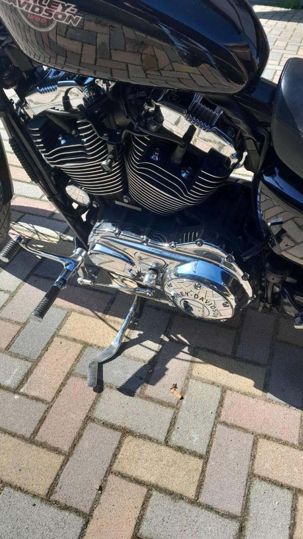 Harley-Davidson 1200 Custom (2004 - 06) - XL 1200C (5)