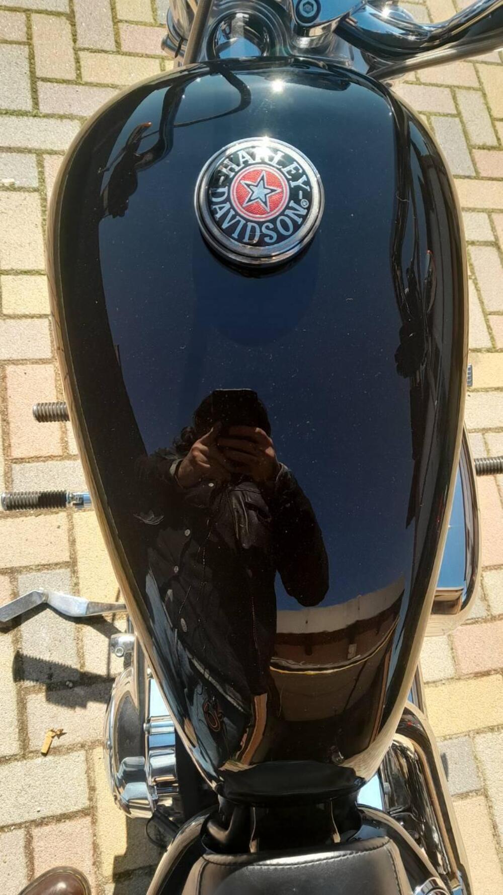 Harley-Davidson 1200 Custom (2004 - 06) - XL 1200C (6)