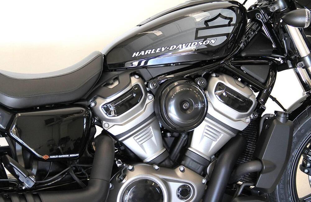 Harley-Davidson Nightster (2023 - 26) (4)