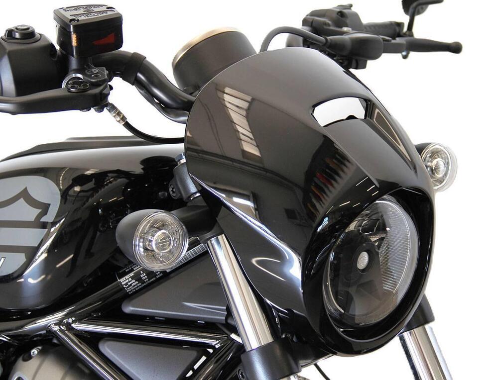 Harley-Davidson Nightster (2023 - 26) (7)