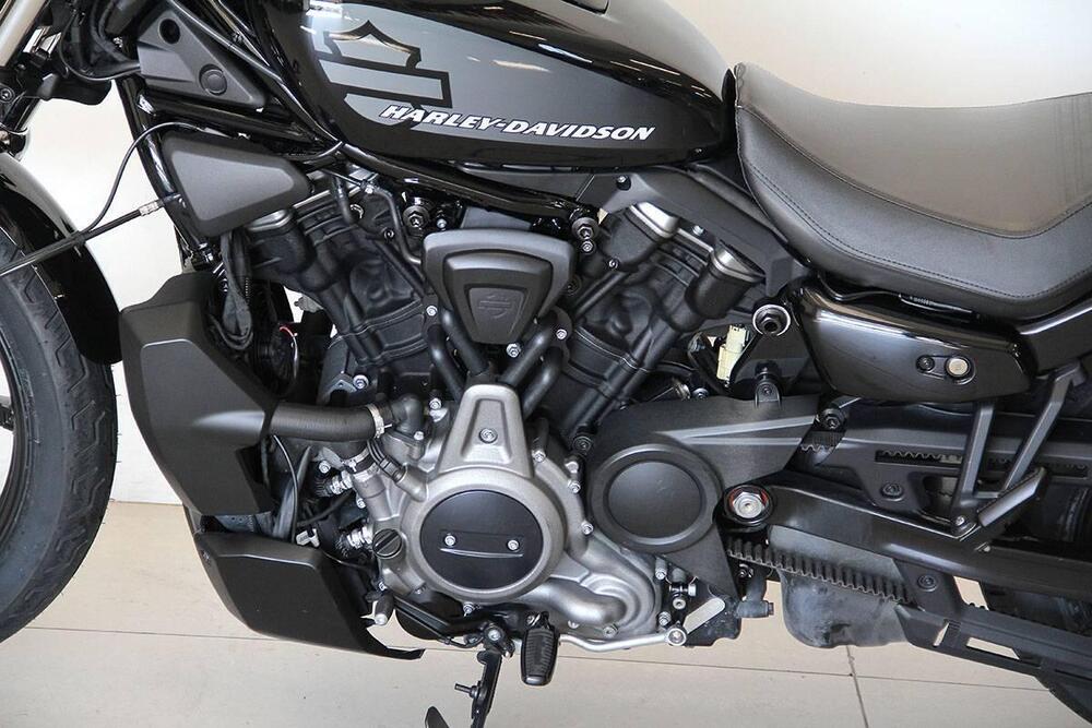 Harley-Davidson Nightster (2023 - 26) (12)