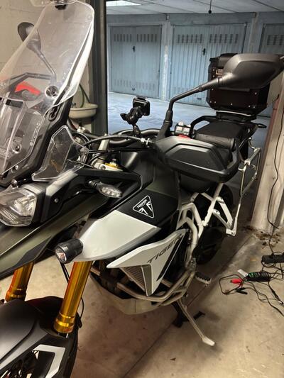 Triumph Tiger 900 Rally Pro (2024 - 26) usata
