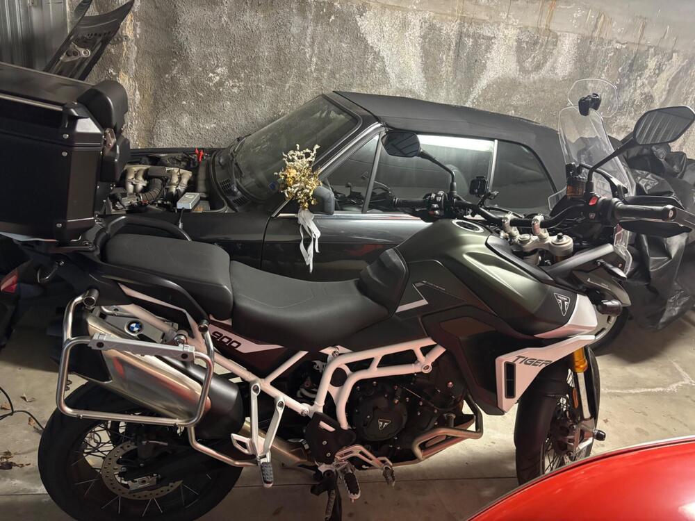 Triumph Tiger 900 Rally Pro (2024 - 26) (4)