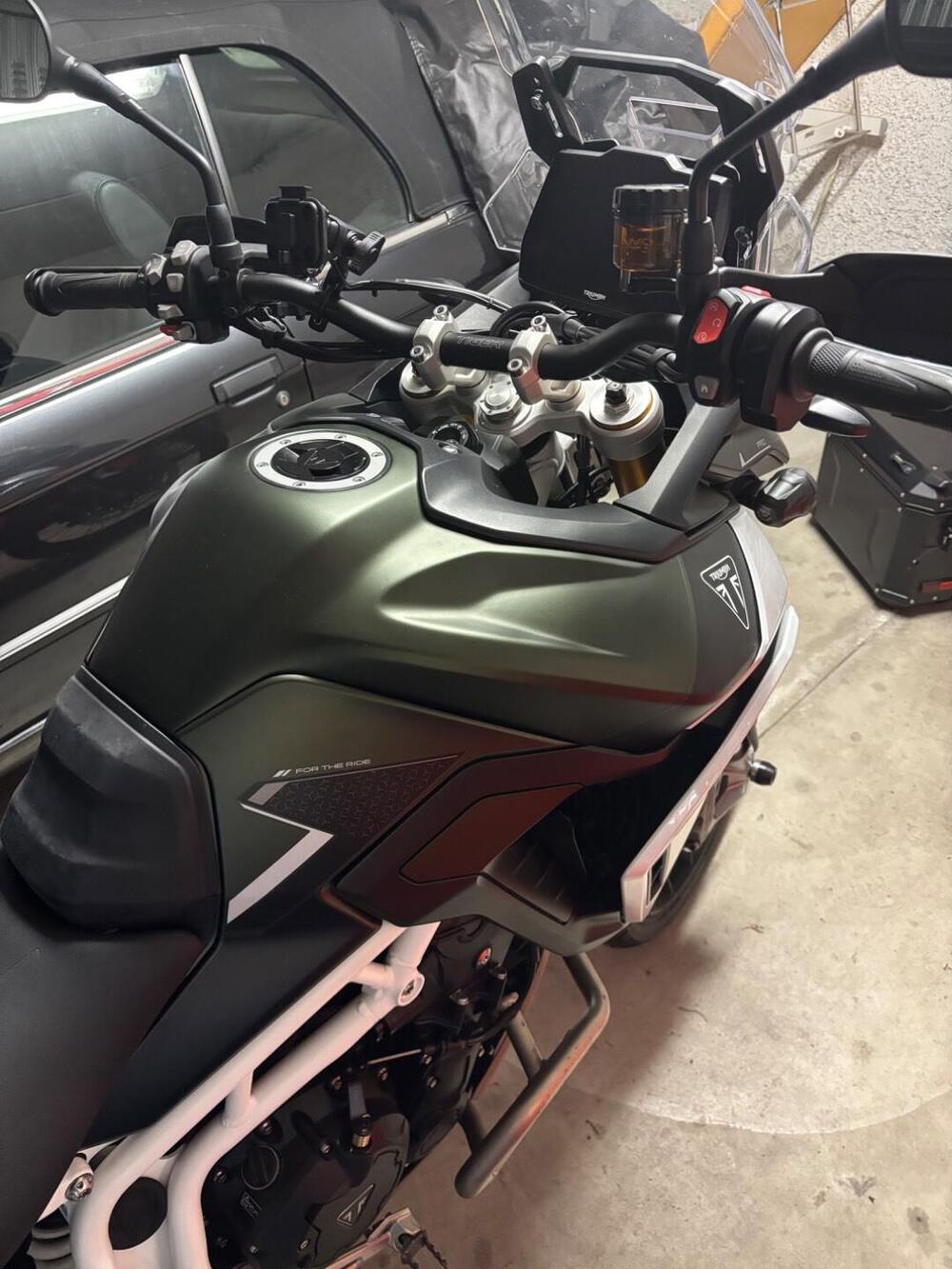 Triumph Tiger 900 Rally Pro (2024 - 26) (5)