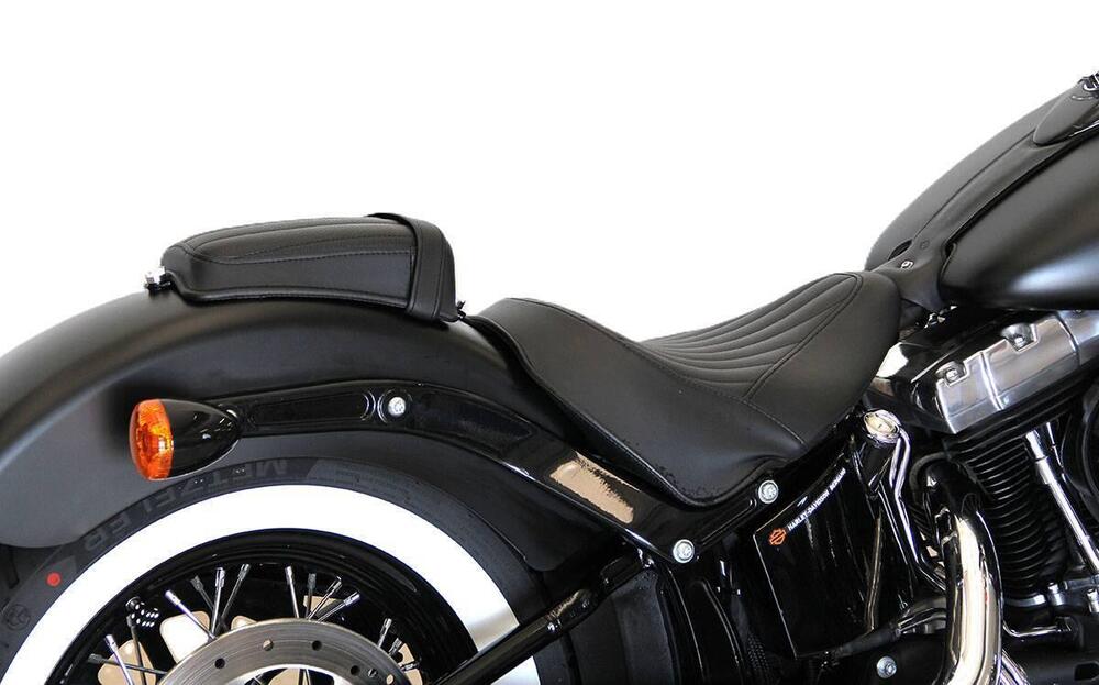 Harley-Davidson 1690 Slim (2011 - 16) - FLS (4)