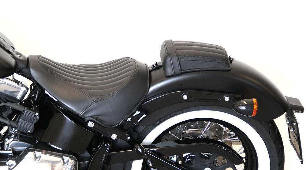 Harley-Davidson 1690 Slim (2011 - 16) - FLS (9)