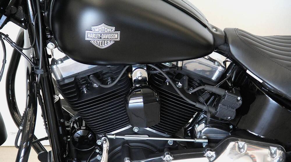 Harley-Davidson 1690 Slim (2011 - 16) - FLS (13)