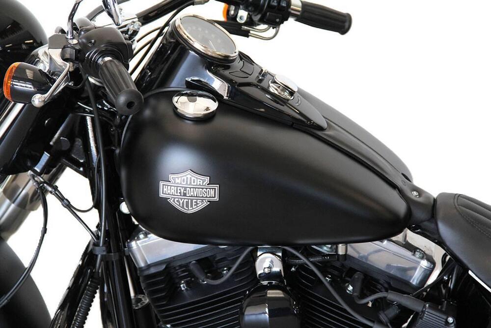 Harley-Davidson 1690 Slim (2011 - 16) - FLS (14)