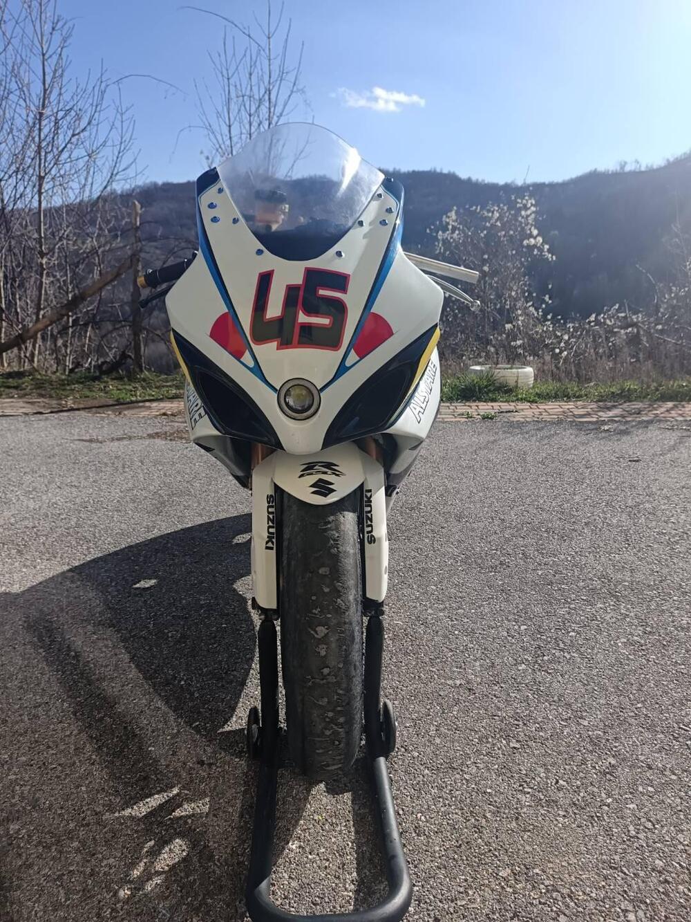 Suzuki GSX-R1000 (2005 - 06) (4)