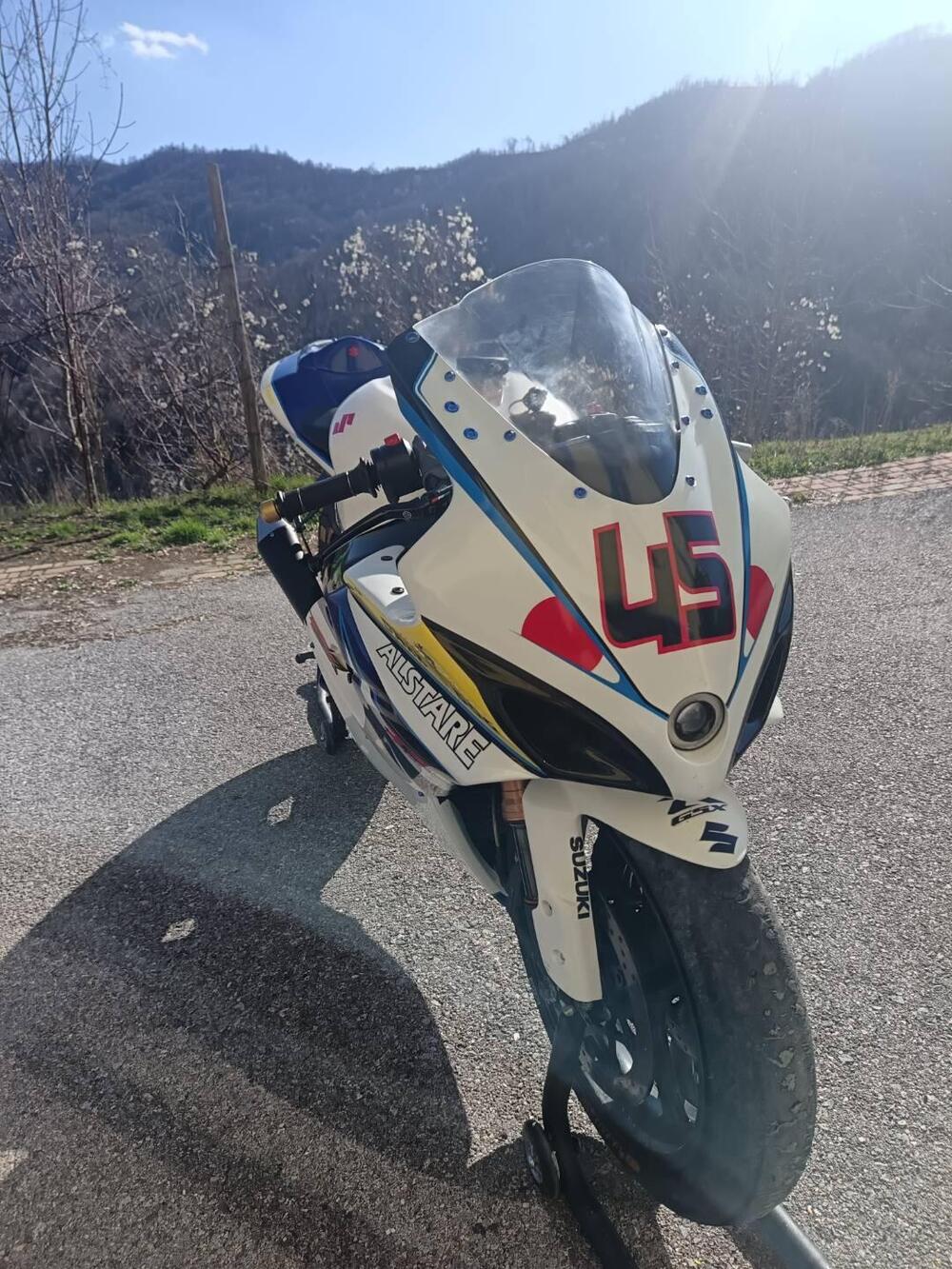 Suzuki GSX-R1000 (2005 - 06) (7)