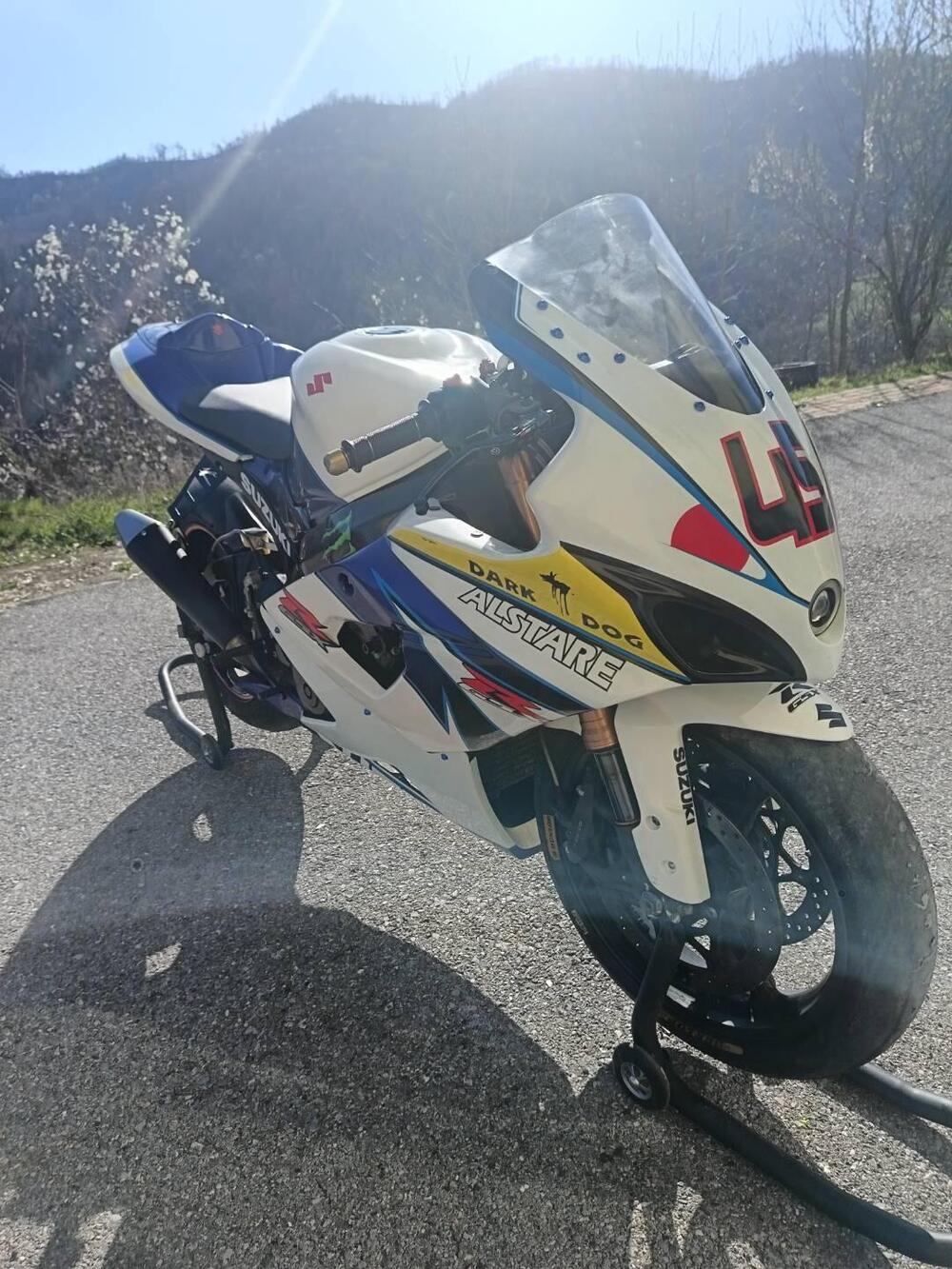 Suzuki GSX-R1000 (2005 - 06) (10)