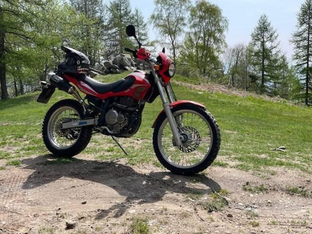 Betamotor Alp 4.0 (2006 - 08) (6)