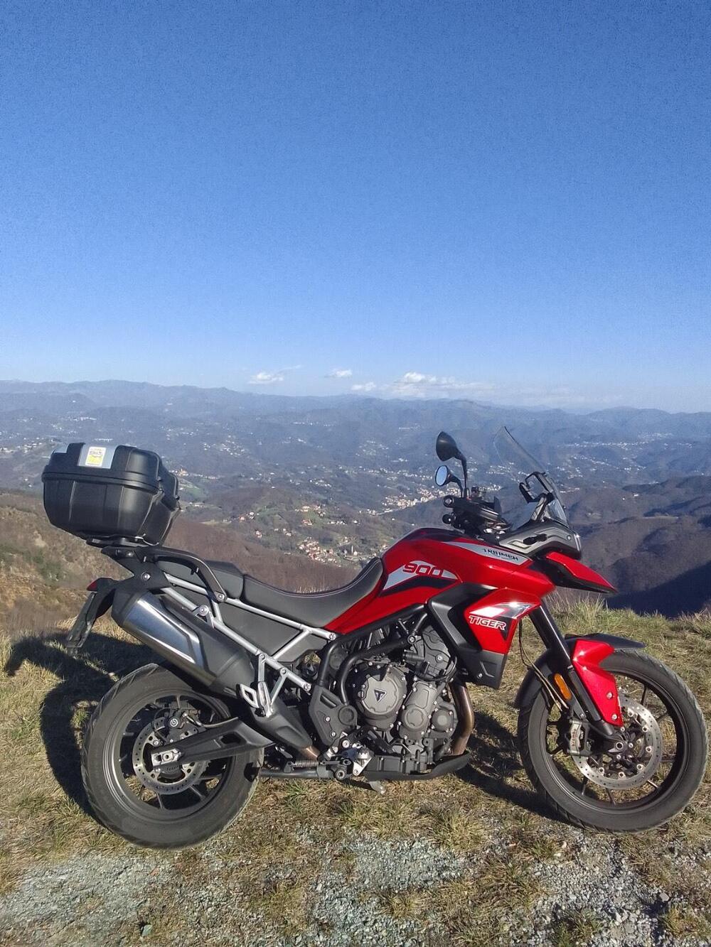 Triumph Tiger 900 GT (2020 - 23) (5)