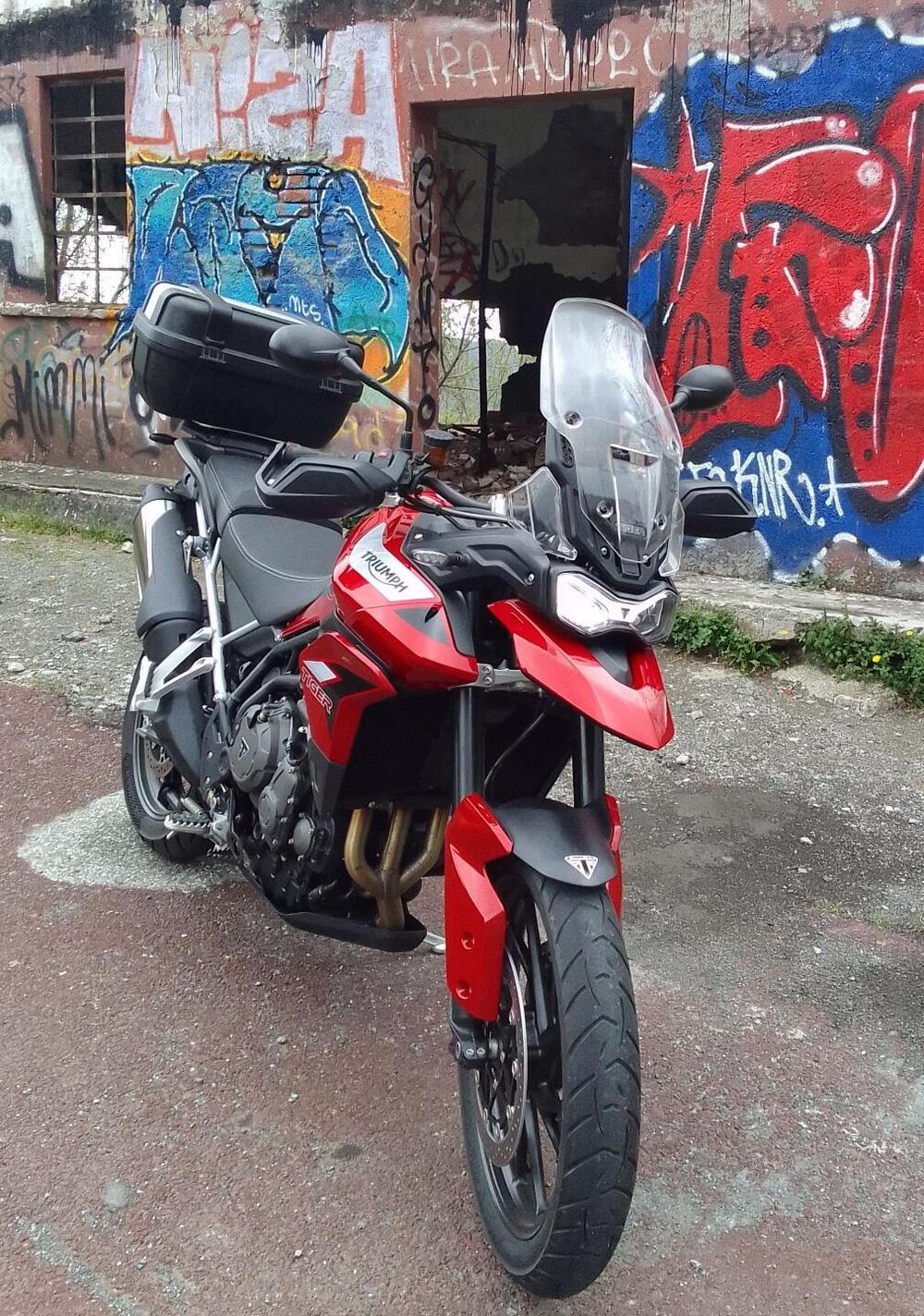 Triumph Tiger 900 GT (2020 - 23) (8)