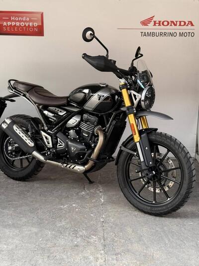 Triumph Scrambler 400 X (2024 - 26) usata