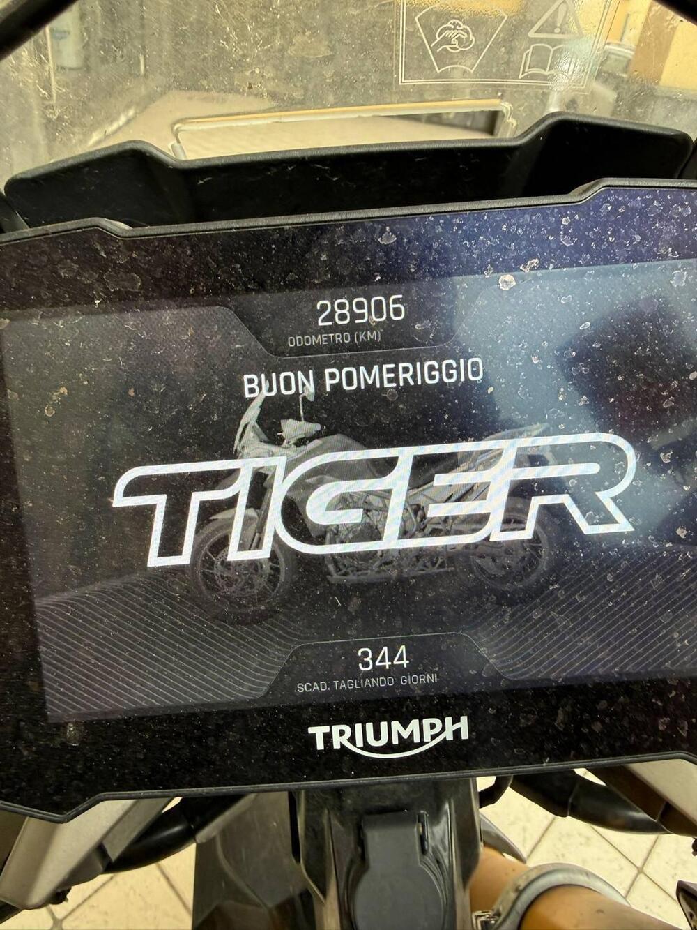 Triumph Tiger 900 Rally Pro (2020 - 23) (4)