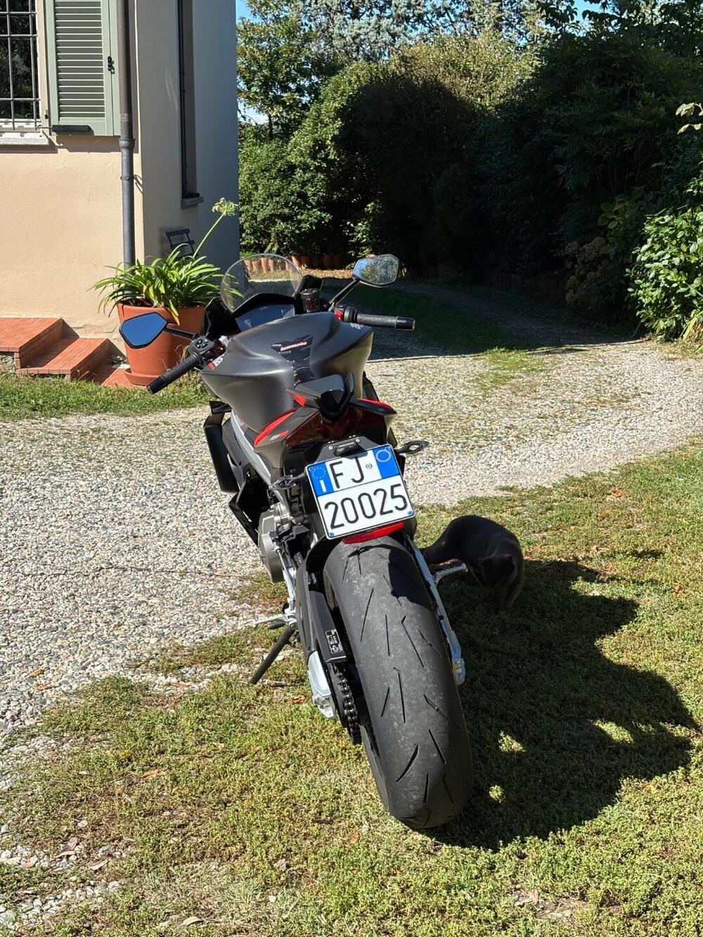 Aprilia RS 660 (2020 - 24) (5)