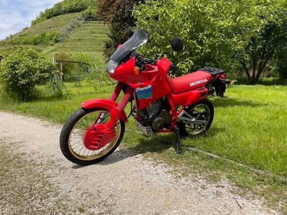 Honda NX 650 Dominator (1988 - 90) (10)