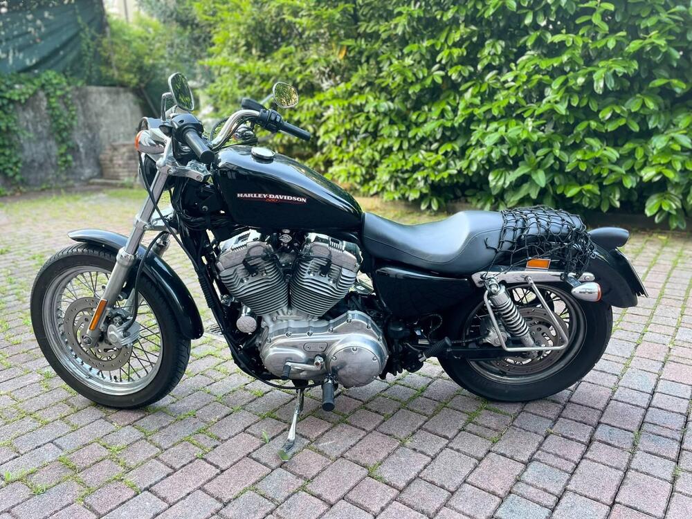 Harley-Davidson 883 Low (2005) - XL 883L