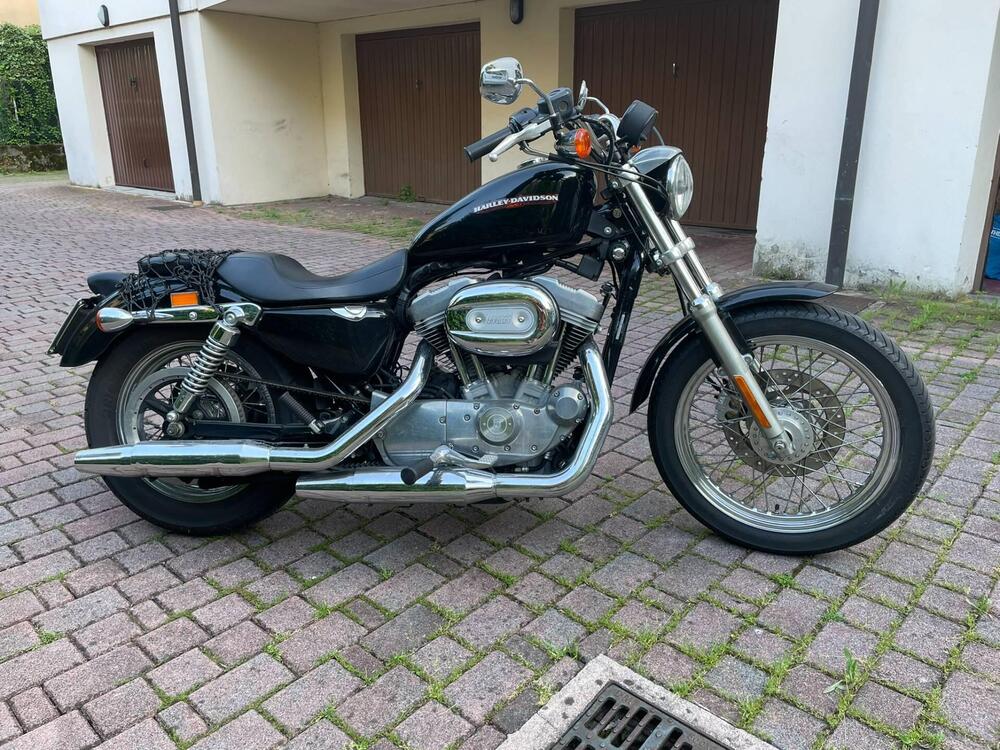 Harley-Davidson 883 Low (2005) - XL 883L (3)