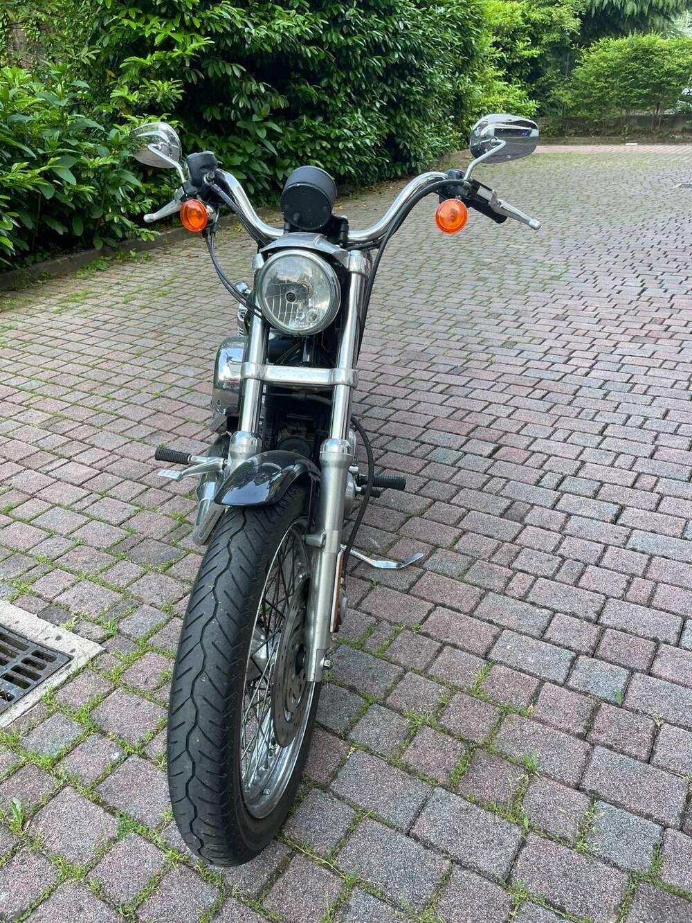 Harley-Davidson 883 Low (2005) - XL 883L (4)