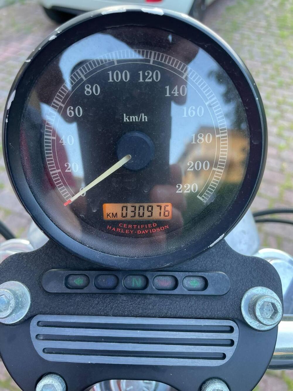 Harley-Davidson 883 Low (2005) - XL 883L (5)