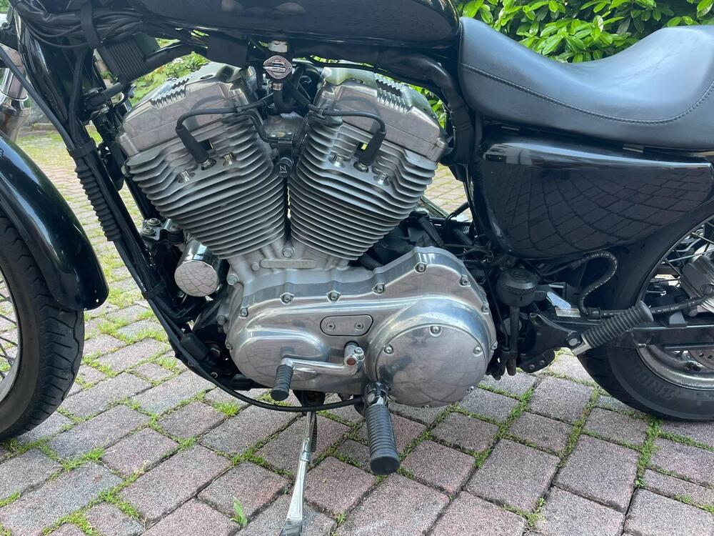 Harley-Davidson 883 Low (2005) - XL 883L (6)