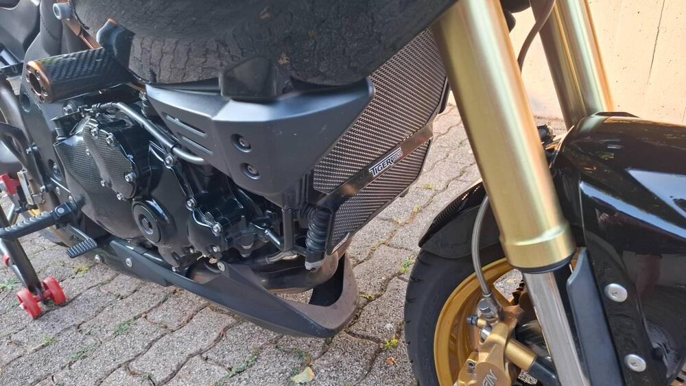 Triumph Tiger 1050 (2006 - 12) (12)