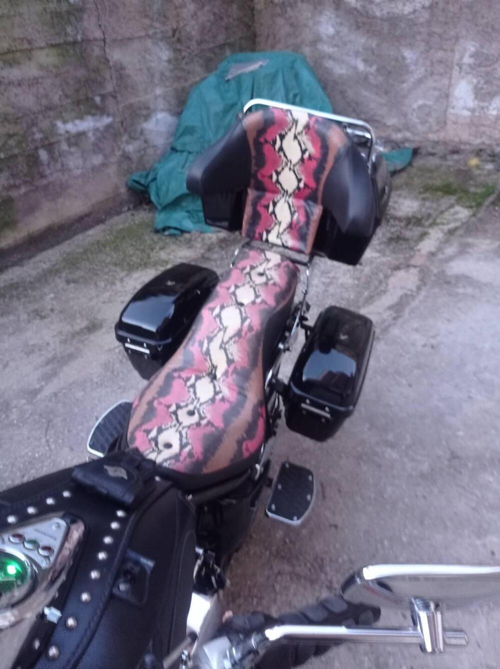 Kawasaki VN 800 Classic  (3)