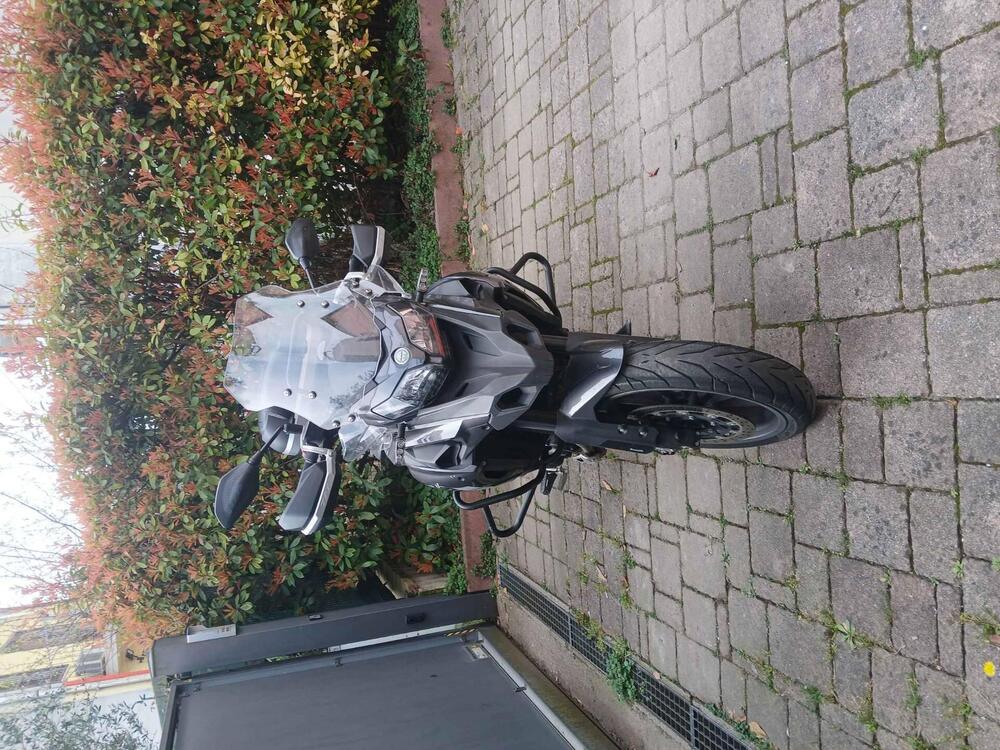 Benelli 502 C (2021 - 25) (2)