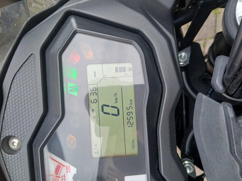 Benelli 502 C (2021 - 25) (3)