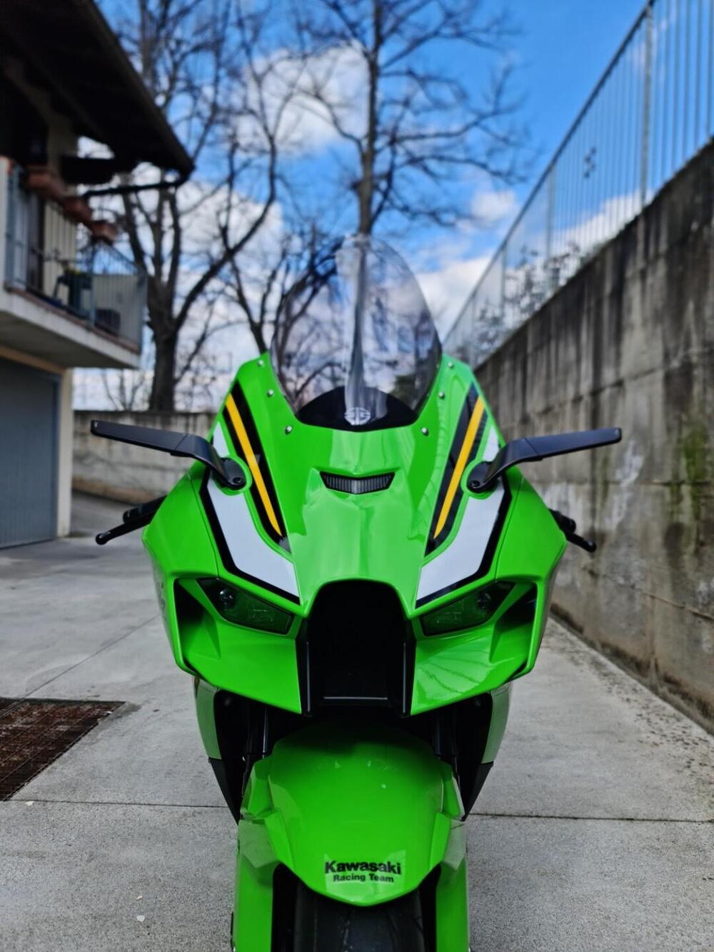 Kawasaki Ninja 1000 ZX-10R (2021 - 25) (6)