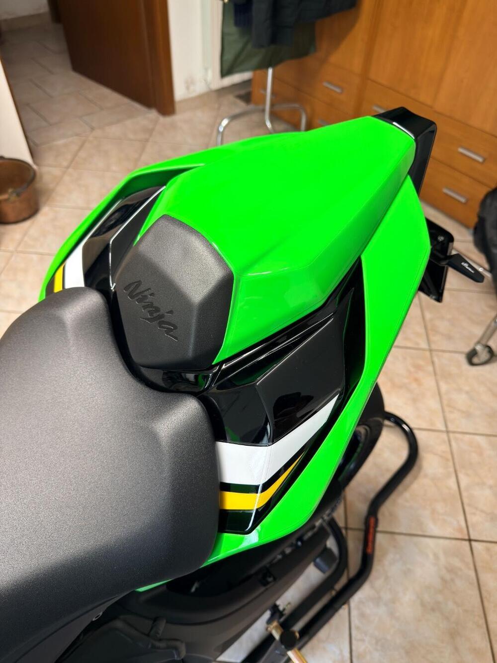 Kawasaki Ninja 1000 ZX-10R (2021 - 25) (13)