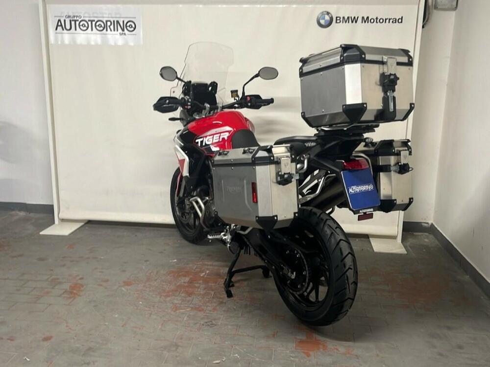 Triumph Tiger 900 GT Aragón Edition (2023 - 24) (4)