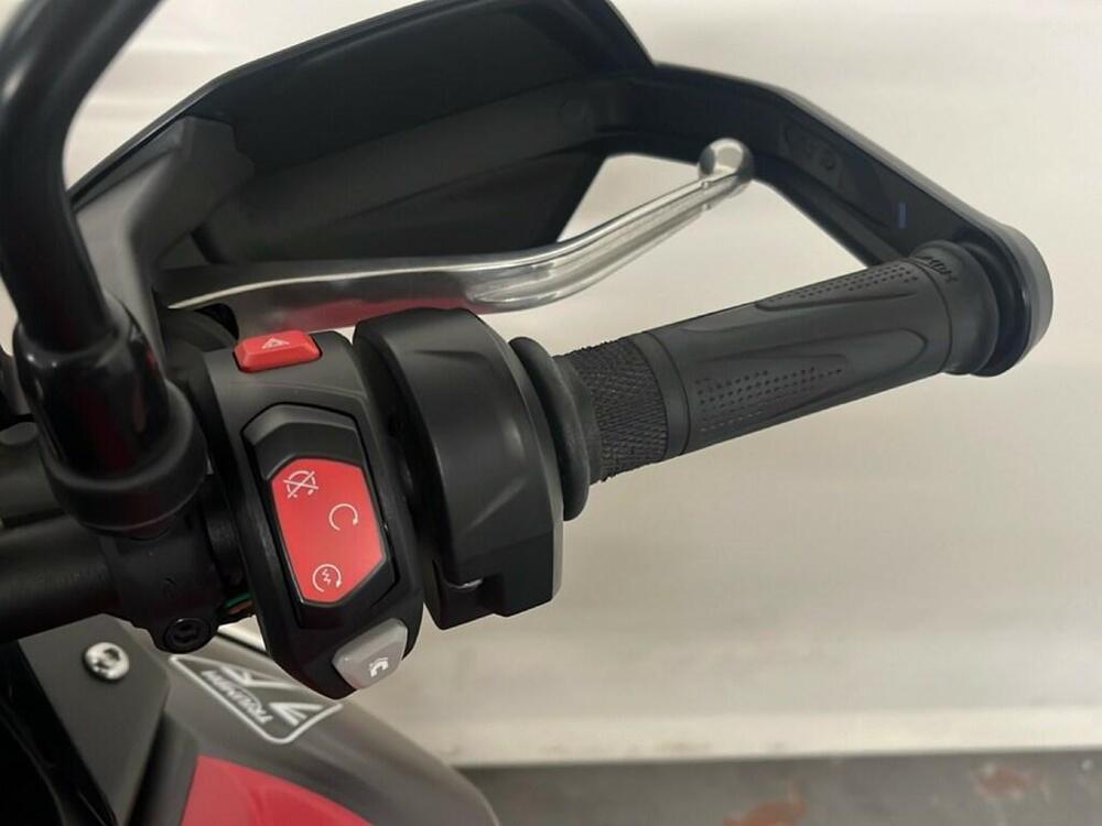 Triumph Tiger 900 GT Aragón Edition (2023 - 24) (9)