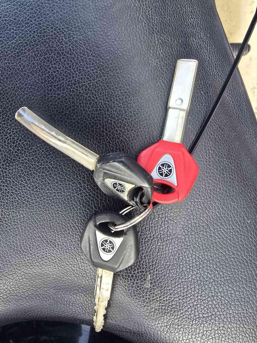 Yamaha FZ8 (2010 - 12) (22)