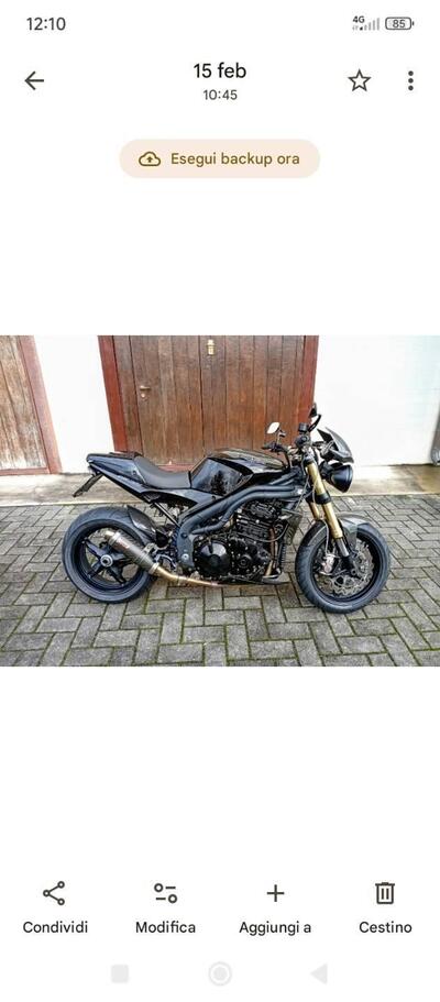 Triumph Speed Triple 1050 (2005 - 11) usata