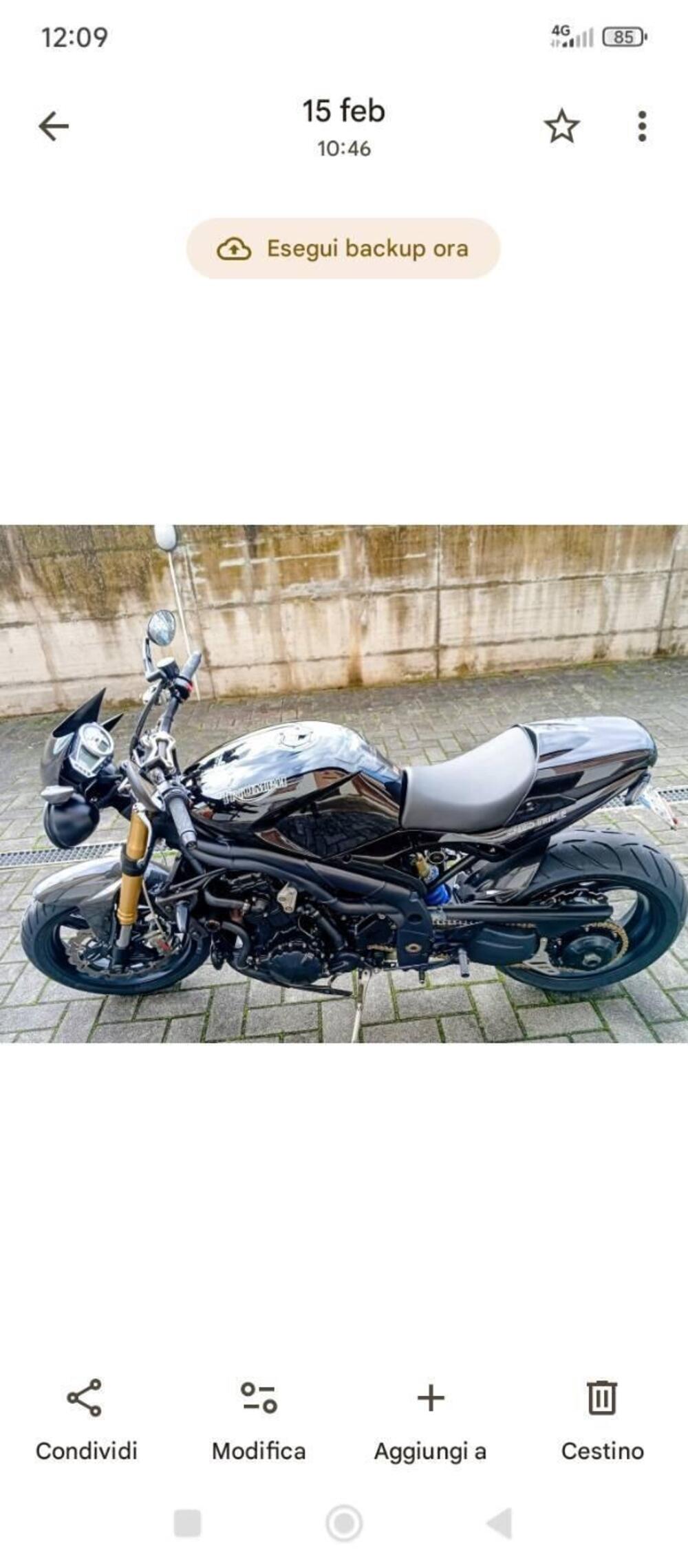 Triumph Speed Triple 1050 (2005 - 11) (3)